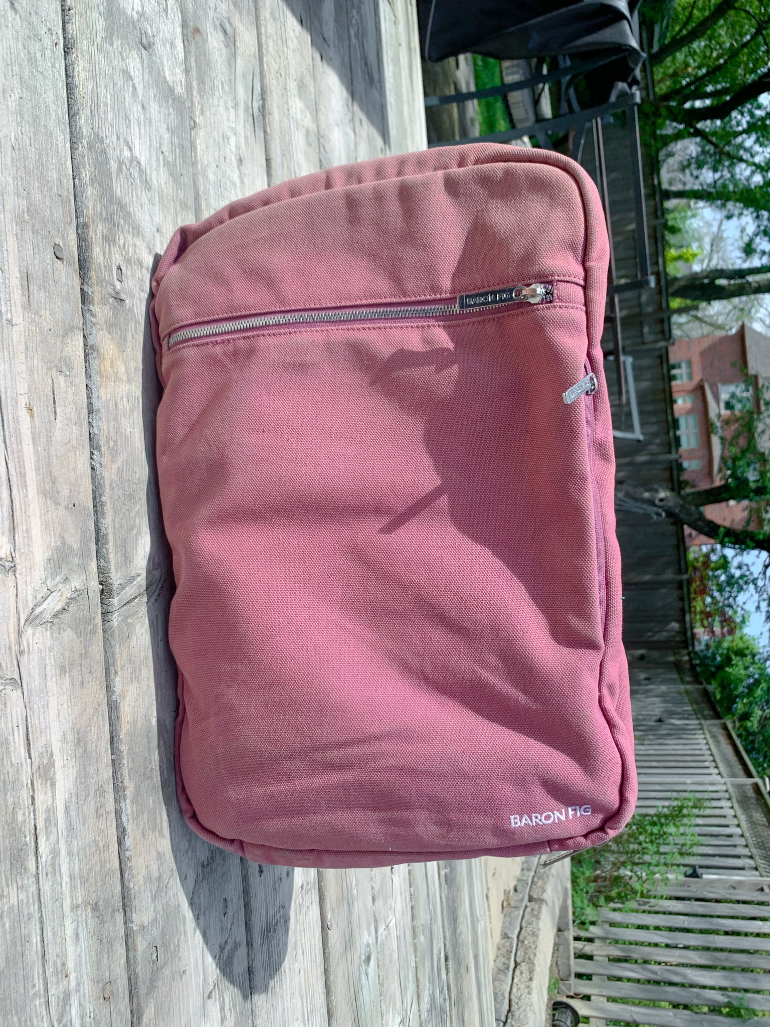 Baron Fig Front View